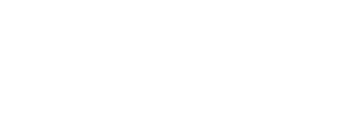 SEMM
